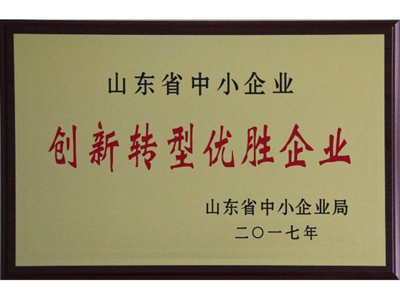 創(chuàng)新轉型優(yōu)勝企業(yè)